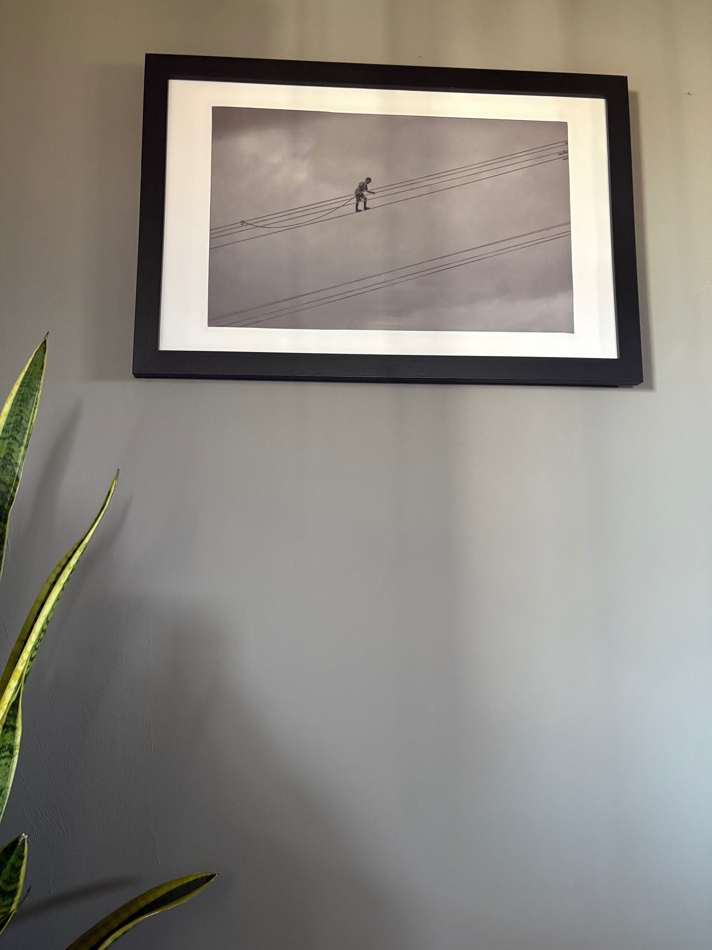High Wire